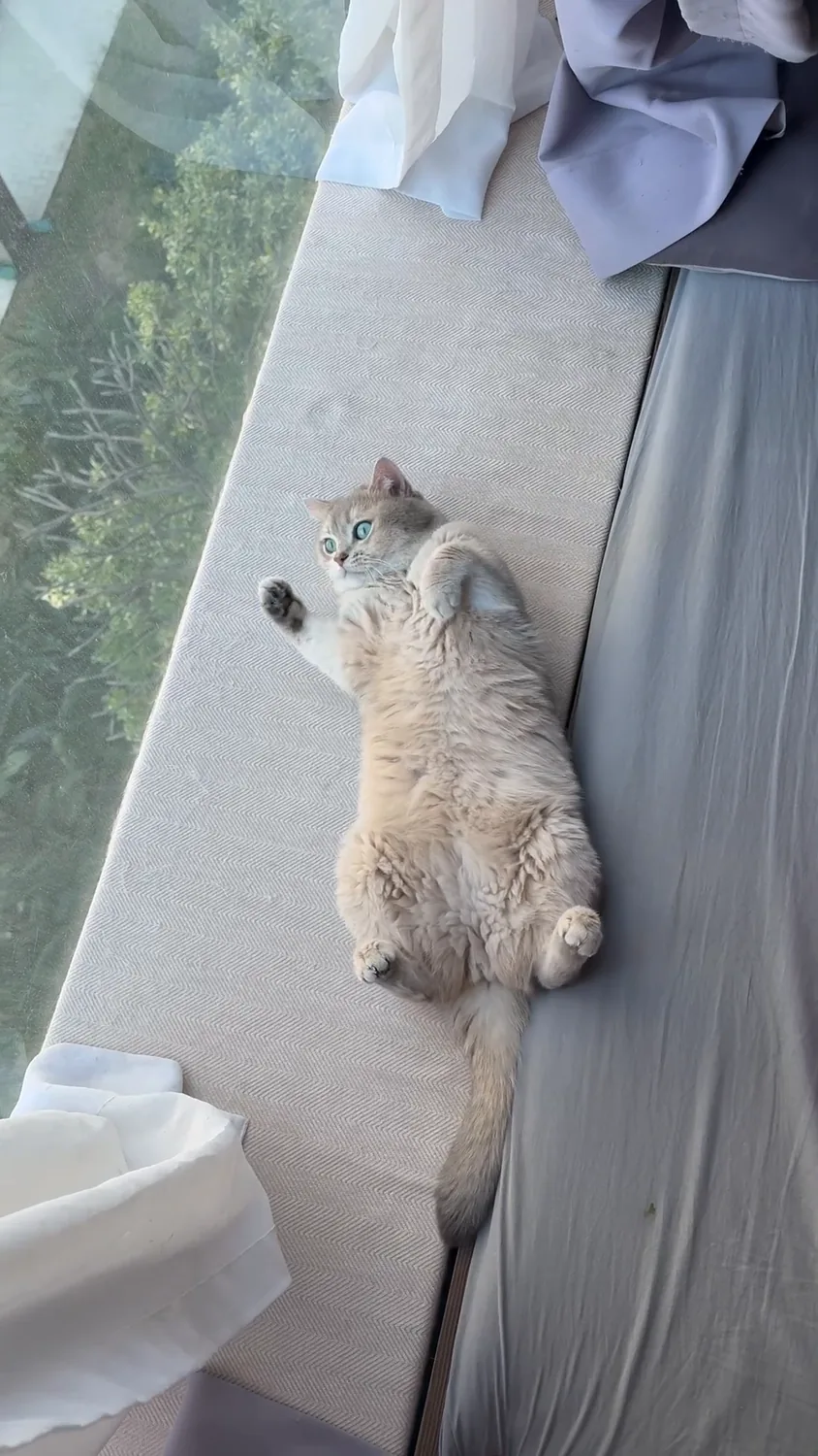 小i